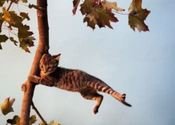 небезпечні погодні умови