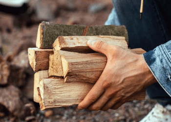 Жителька Чортківщини втратила гроші купляючи дрова на зиму