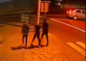 Хуліганів, які пошкодили футбольну сітку, розшукують у Тернополі