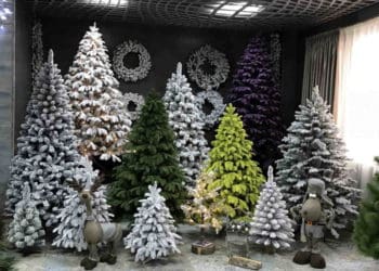 Тернопільські поліцейські попереджають про шахраїв, які "заробляють" на ялинках