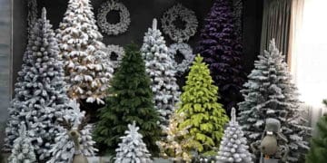 Тернопільські поліцейські попереджають про шахраїв, які "заробляють" на ялинках