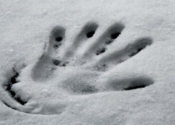 На морозі помер житель Скала-Подільської громади