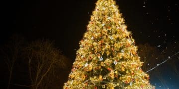У Кременецькій громаді вирішили не встановлювати новорічну ялинку
