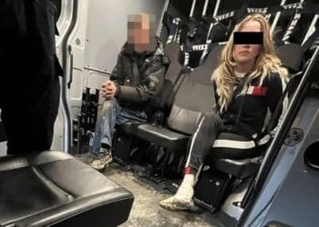 В Польщі п’яна українка на BMW заїхала в кювет і покусала поліціянта