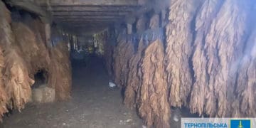 На Тернопільщині прикрили підпільний цех з виробництва і продажу цигарок