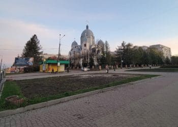 При вході на бульвар Данила Галицького у Тернополі зрізали ялини