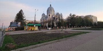 При вході на бульвар Данила Галицького у Тернополі зрізали ялини