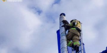 У Борщівській громаді рятували кошеня