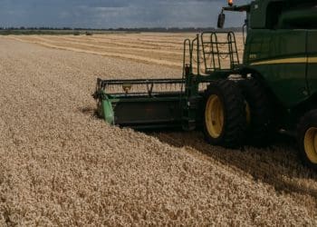 Західний хаб МХП продовжує підтримувати продовольчу безпеку України