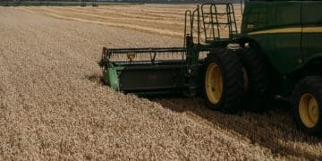 Західний хаб МХП продовжує підтримувати продовольчу безпеку України