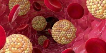 Аналіз крові на ліпіди та холестерин