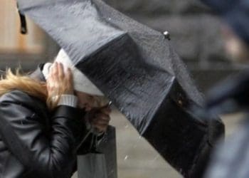 Тернопільські рятувальники попереджають про небезпеку сильного вітру