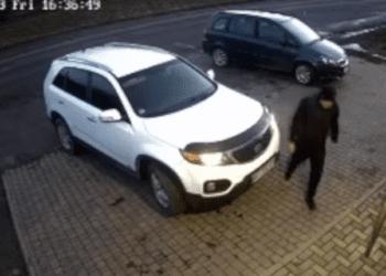 У Бучачі п’яний водій приставав до дівчинки-продавця і нахамив поліцейським