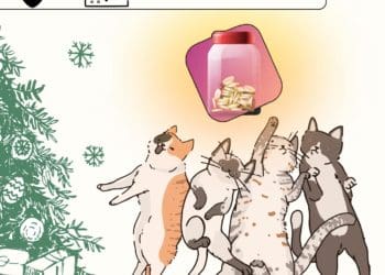 Фестиваль "Файне місто" організував Таємного Миколая для БФ "Домівка Врятованих Тварин"