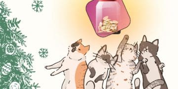 Фестиваль "Файне місто" організував Таємного Миколая для БФ "Домівка Врятованих Тварин"