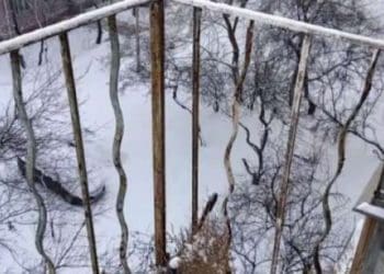 Рятували стареньку тернополянку, яка випадково зачинилась на балконі