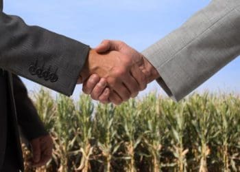 Ключові аспекти оренди землі комунальної власності