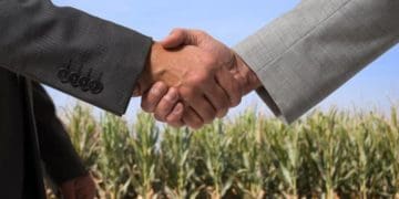 Ключові аспекти оренди землі комунальної власності