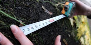 Чортківчанка порушила три кримінальні статті, щоб заволодіти землею