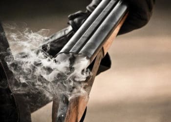 відстріл хижих та диких тварин