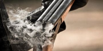 відстріл хижих та диких тварин