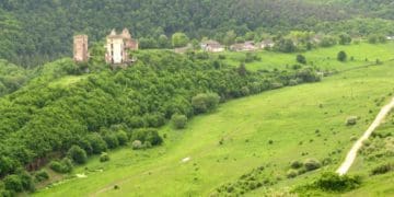 На Чортківщині, де ростуть червонокнижні рослини, хочуть видобувати гіпс