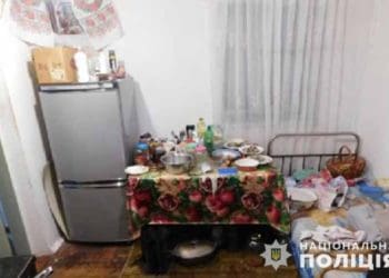 Побутова сварка тещі і зятя призвела до вбивства на Кременеччині