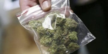 Як за легалізацію медичного канабісу голосували народні депутати з Тернопільщини