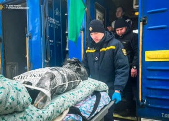 Черговий евакуаційний потяг з прифронтових областей зустрічали у Тернополі