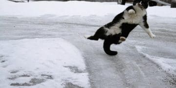 Про сильний вітер і ожеледицю попереджають на Тернопільщині