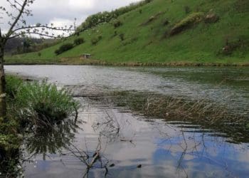 На Чортківщині громада без конкурсу віддала в оренду землю зі ставками за пів мільярда
