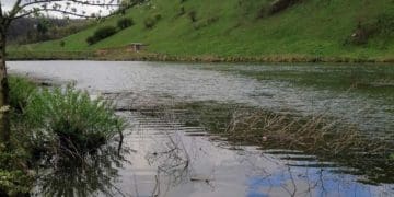 На Чортківщині громада без конкурсу віддала в оренду землю зі ставками за пів мільярда