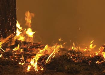 13 людей загинули у пожежах в Кременецькому районі цього року