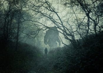 Це був ваш вибір