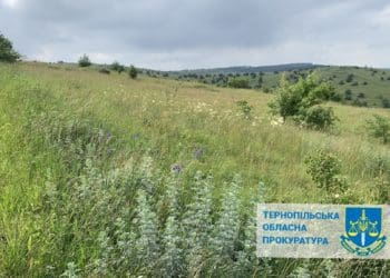 У Підволочиській громаді вимагають повернути у власність держави землі за понад 400 мільйонів