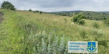У Підволочиській громаді вимагають повернути у власність держави землі за понад 400 мільйонів