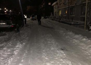 У селищі Дружба водій Nissan X-Trail здаючи назад не помітив власну сестру