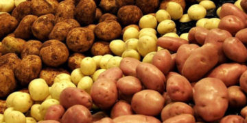 На картоплю для харчування дітей у Тернополі запланували витратити майже 1,4 мільйона