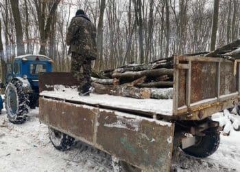 чоловік хотів вивести деревину із території заповідника