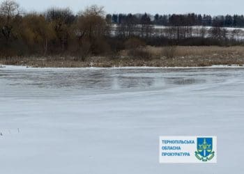 Землю за майже мільярд суд повернув державі на Тернопільщині