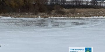 Землю за майже мільярд суд повернув державі на Тернопільщині