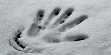 Переохолодження - ймовірна причина смерті 48-річного чоловіка у Почаєві