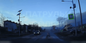 кермувальник не пропустив пішохода і поплатився