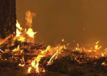 Необережне поводження з вогнем у ліжку призвело до трагедії на Чортківщині