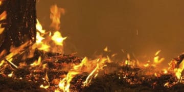 Необережне поводження з вогнем у ліжку призвело до трагедії на Чортківщині