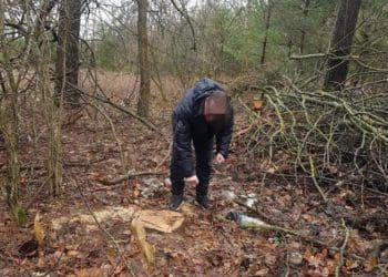 зрубав дерева