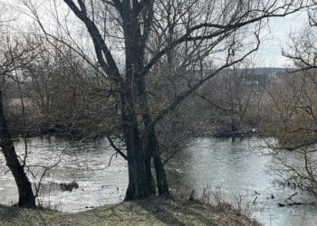 тіол у річці