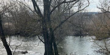 тіол у річці