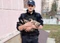 З підвалу у Тернополі рятували котика, який голосно кликав на допомогу