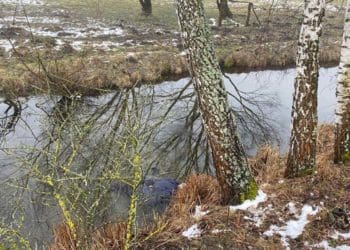 тіло у річці